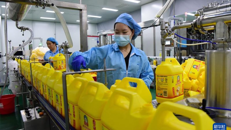 涂料用精细化工产品分类解析：型号参数揭秘