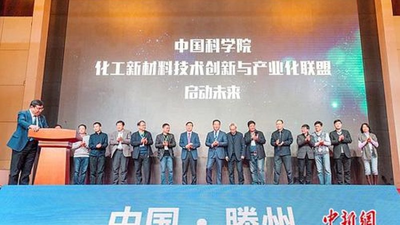 河南饲料防腐剂生产：揭秘行业佼佼者背后的技术奥秘
