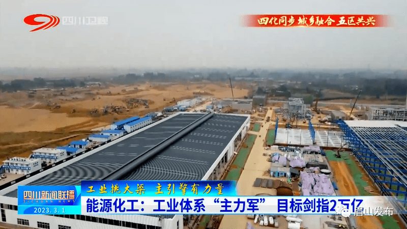 有机化工原料定制加工：揭秘来样定制背后的技术奥秘**